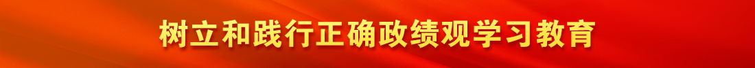 树立和践行正确政绩观学习教育