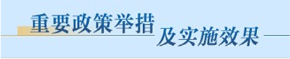 重要政策举措及实施效果