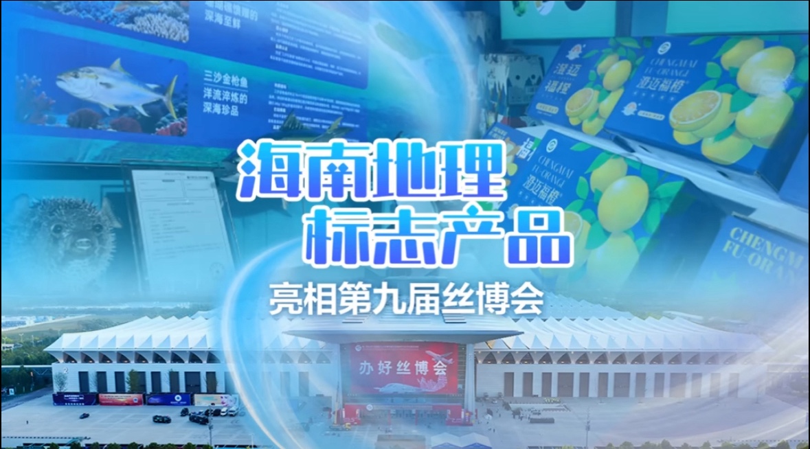 海南地理标志产品亮相第九届丝博会