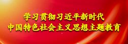 学习贯彻习近平新时代中国特色社会主义思想主题教育
