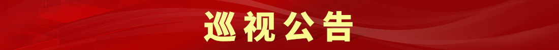 巡视公告
