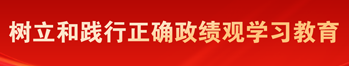 树立和践行正确政绩观学习教育