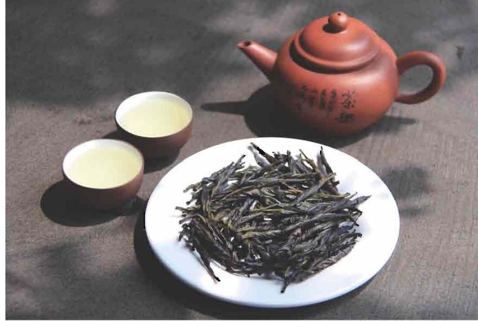 澄迈苦丁茶