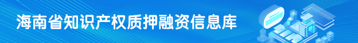 海南省知识产权质押融资信息库